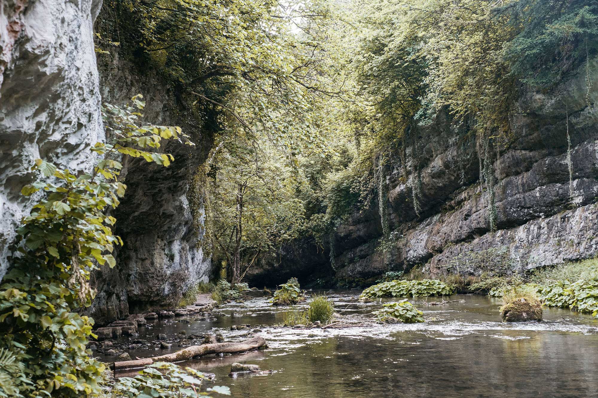 Derbyshire
