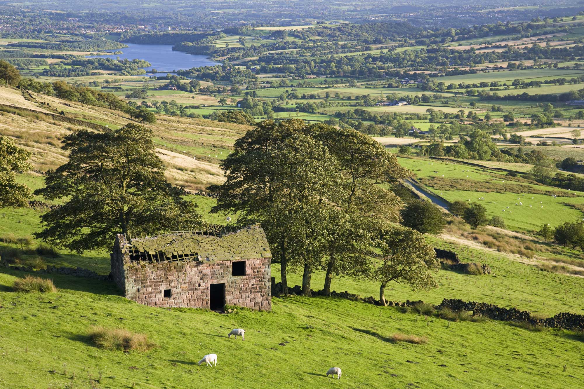 Staffordshire