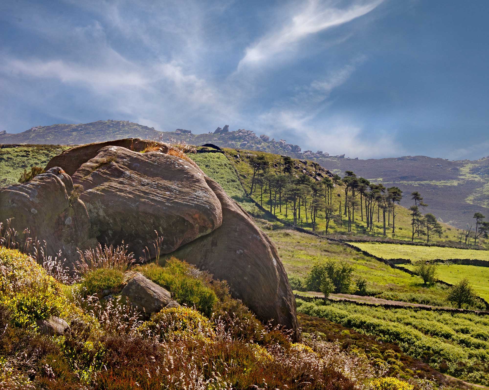 Staffordshire