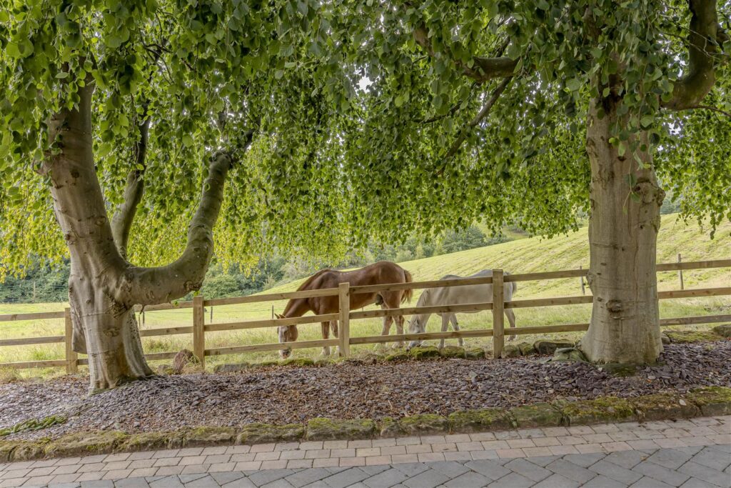 Old Furnace Farm, Oakamoor, Stoke-On-Trent